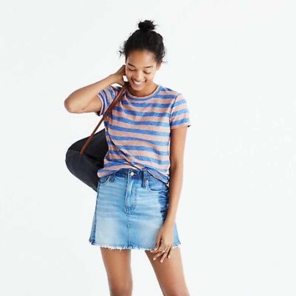Madewell Blue & Brown Stripe Tee Shirt